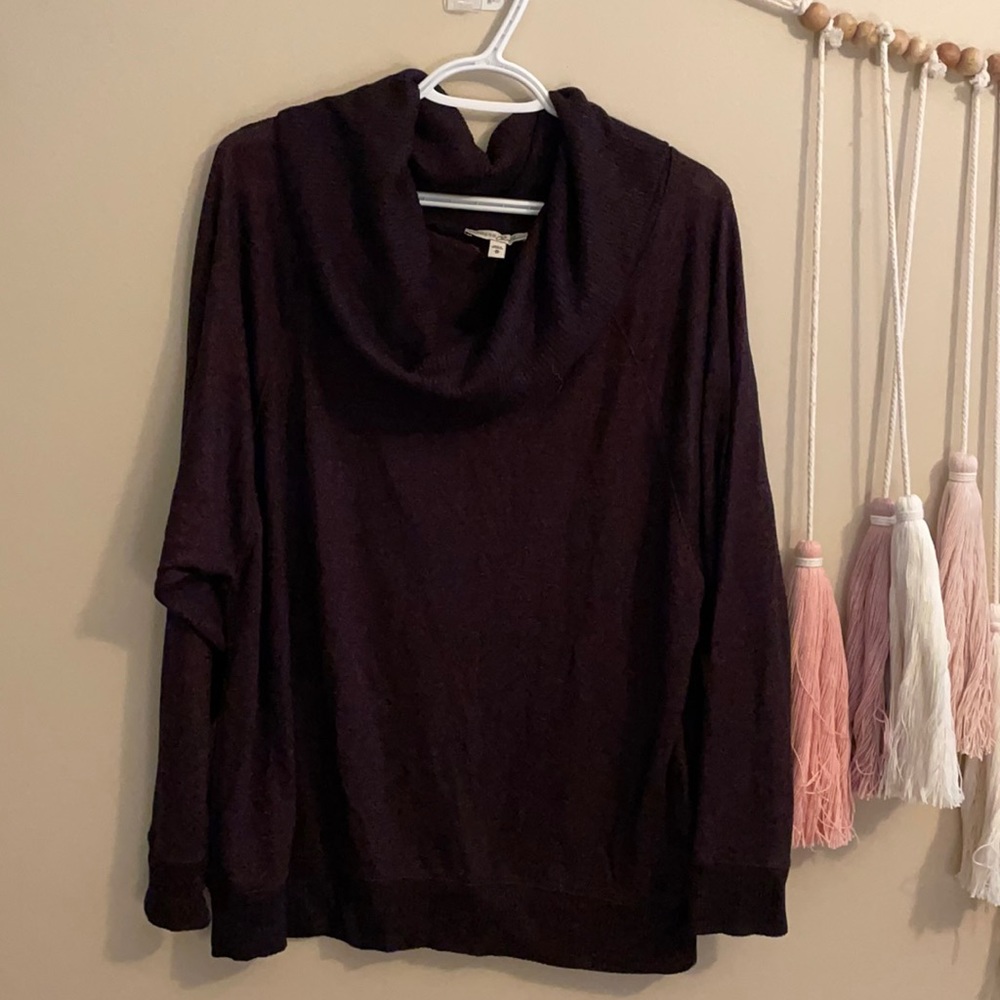 Express sweater